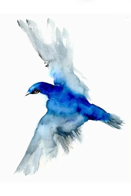 Capturing Birds in Watercolor (Online Workshop) Fall 2026 w/ Michelle Detering