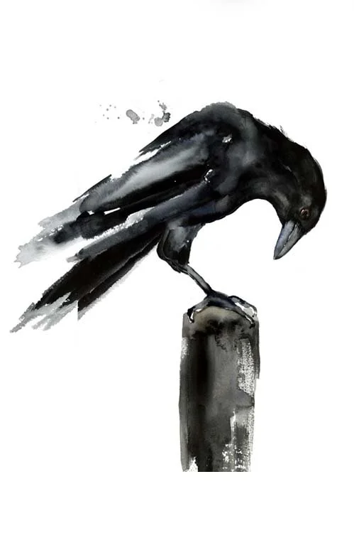 Capturing Birds in Watercolor (Online Workshop) Fall 2026 w/ Michelle Detering