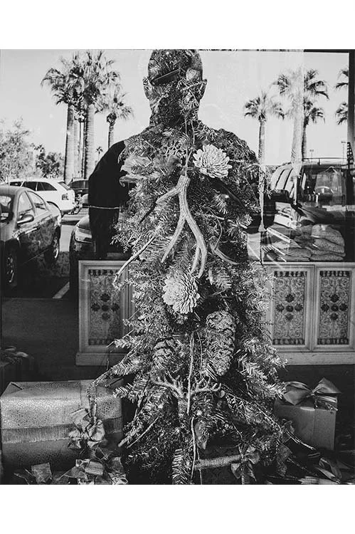 Photo Discoveries: Influences and Ideas (Online Lecture) Fall 2026 w/ Joseph Podlesnik