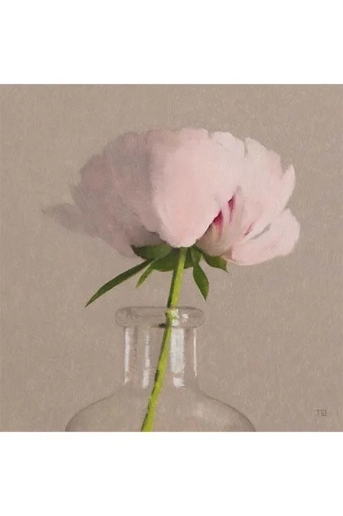 Color and Value (Online Workshop) Spring 2026 w/ Tony Bevilacqua