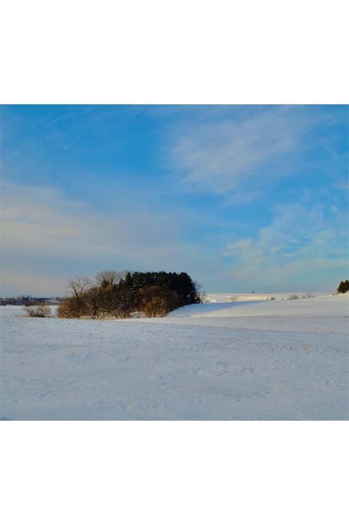 Ben Bauer Winter 2026 ad 11 Penn Studio School.jpg