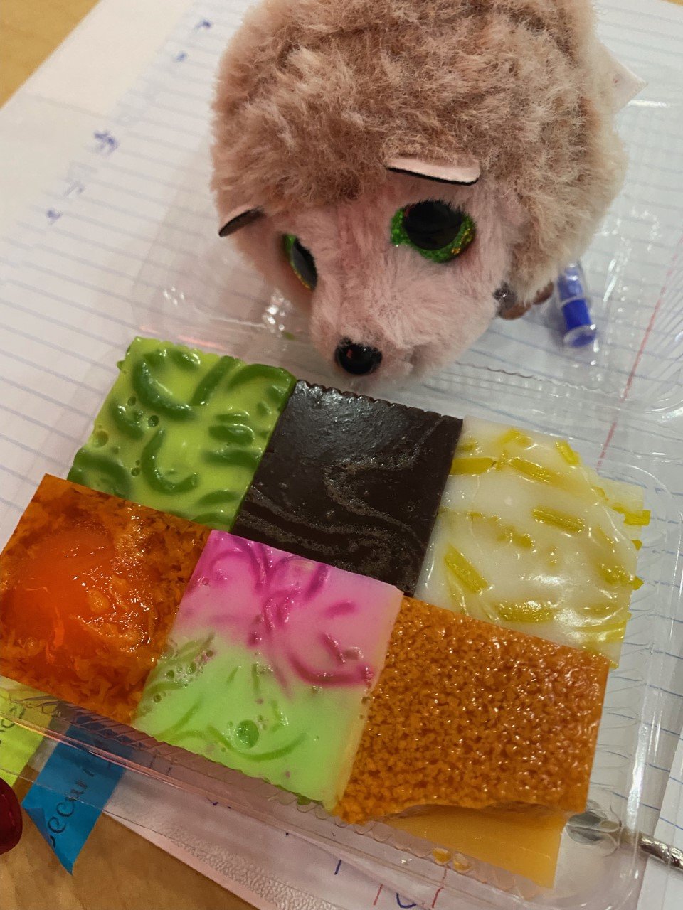 Hedgie and colorful delicacies