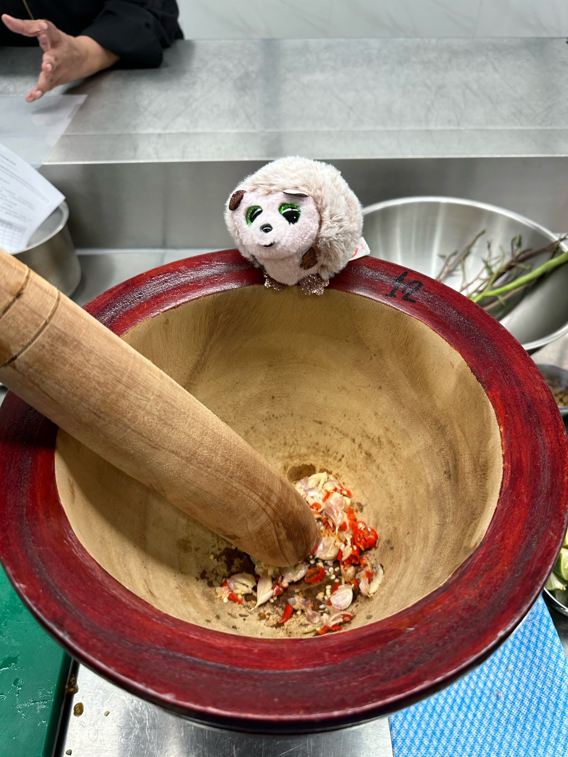 Hedgie supervising cooking classes