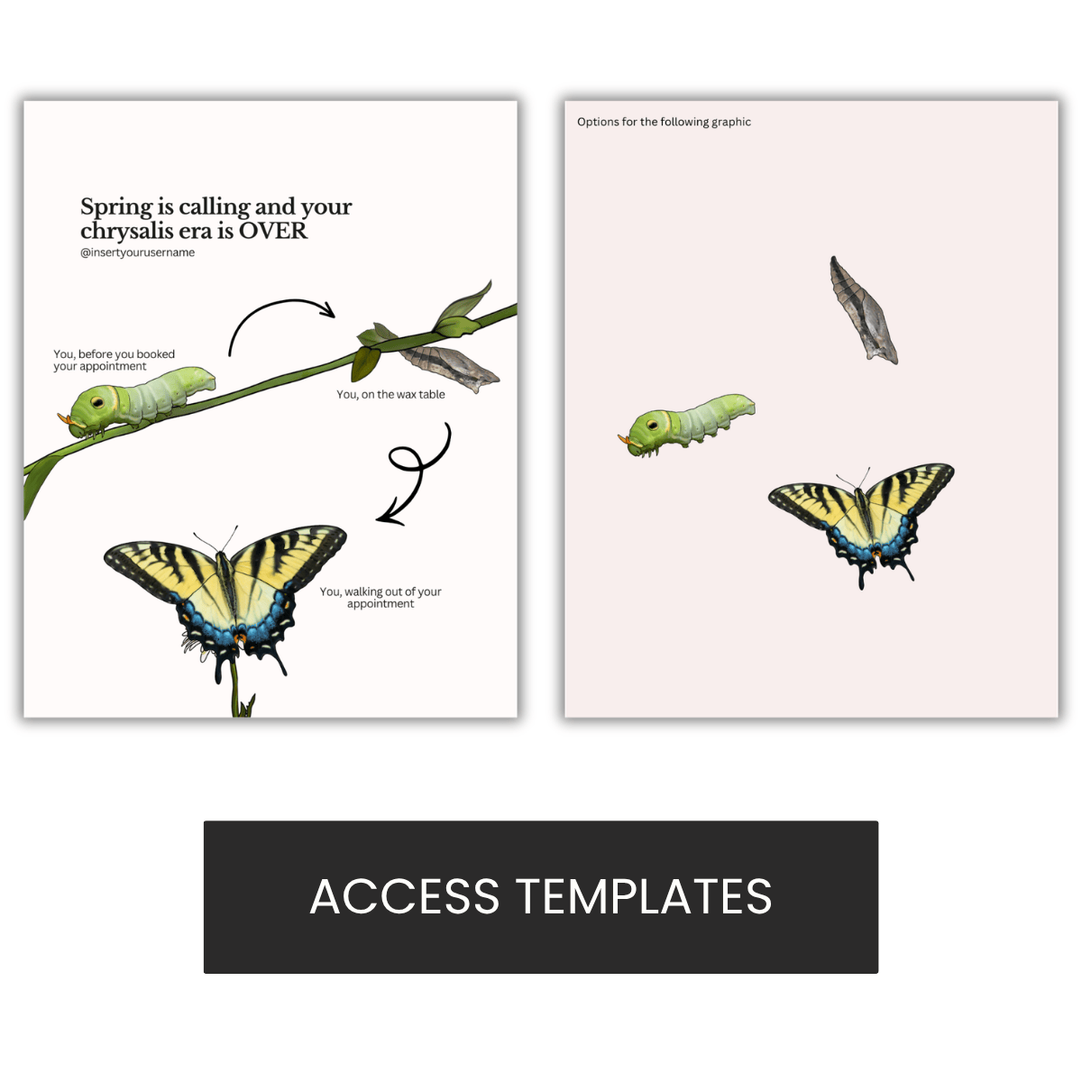 Spring Is Calling and Your Chrysalis Era Is OVER Illustration