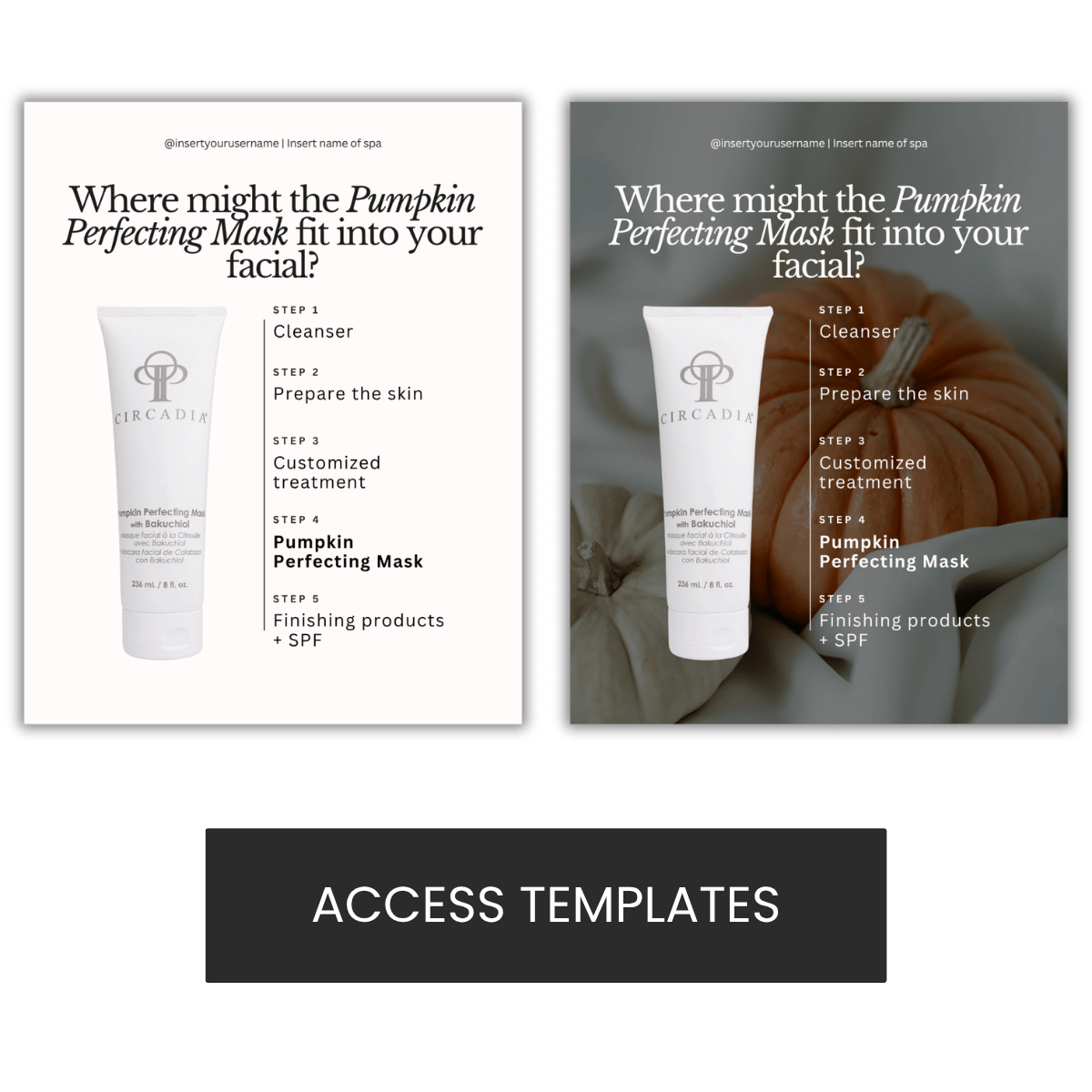 Circadia Pumpkin Perfecting Mask Graphic