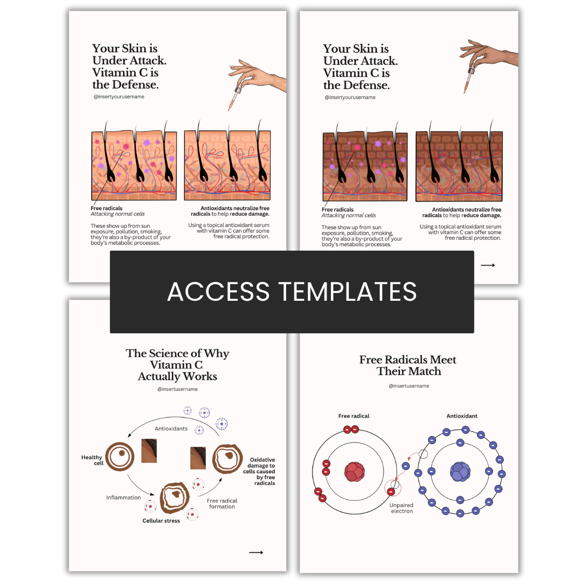 Vitamin C, Free Radicals & Skin Defense Illustrations