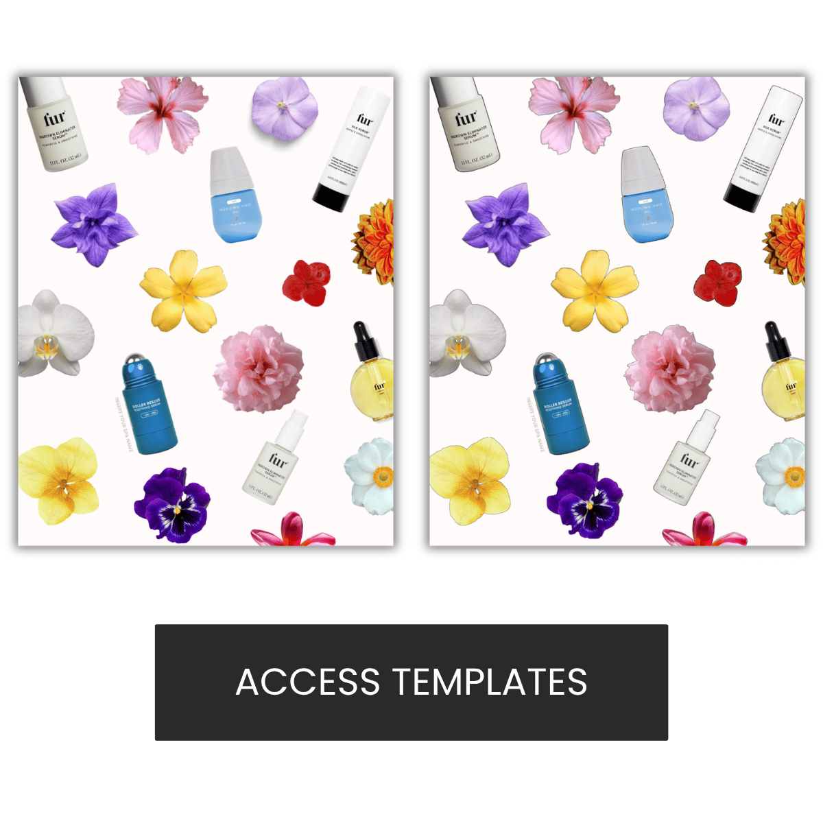 Spring Recs Graphic