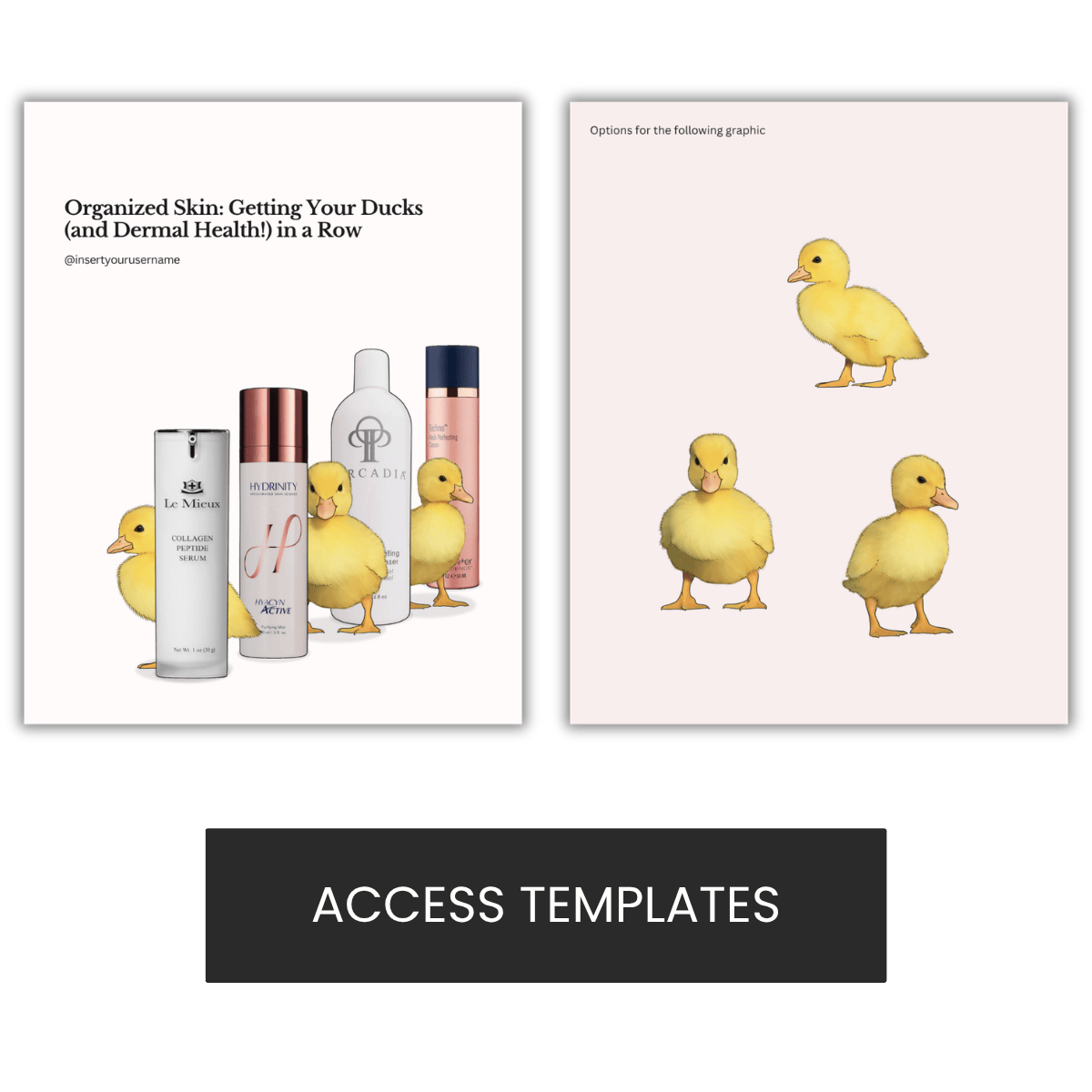 Easter Ducks In A Row Illustration