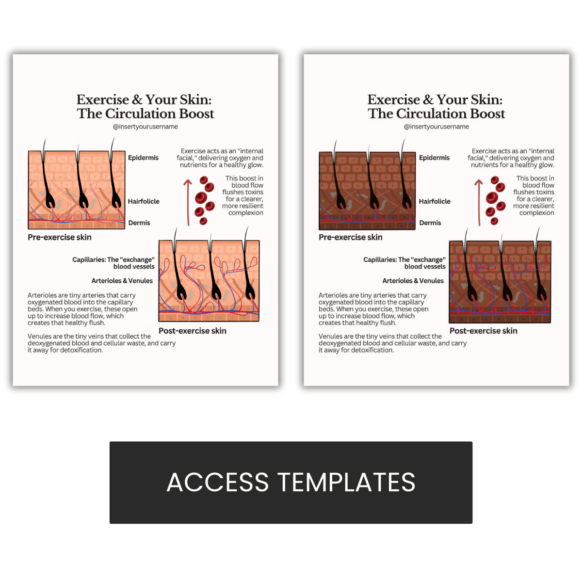 Exercise & Your Skin:  The Circulation Boost Illustrations