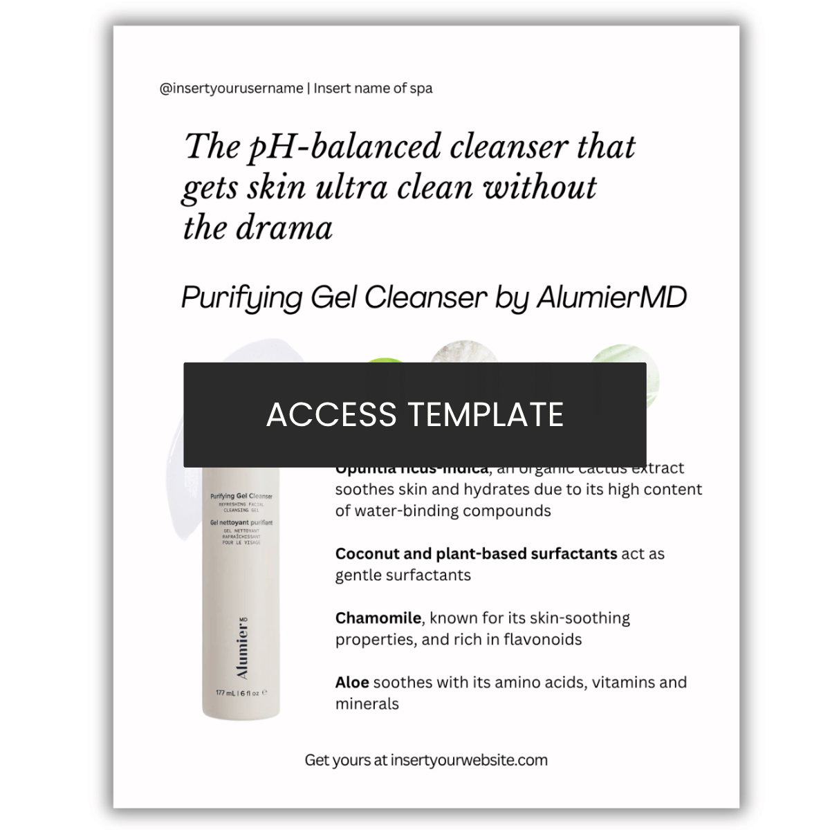 Purifying Gel Cleanser by AlumierMD