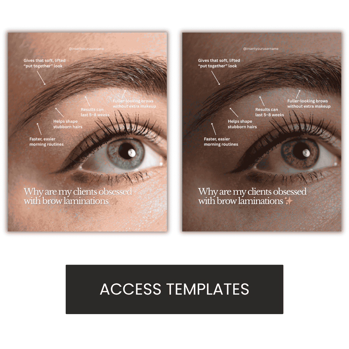Brow Lamination Graphic