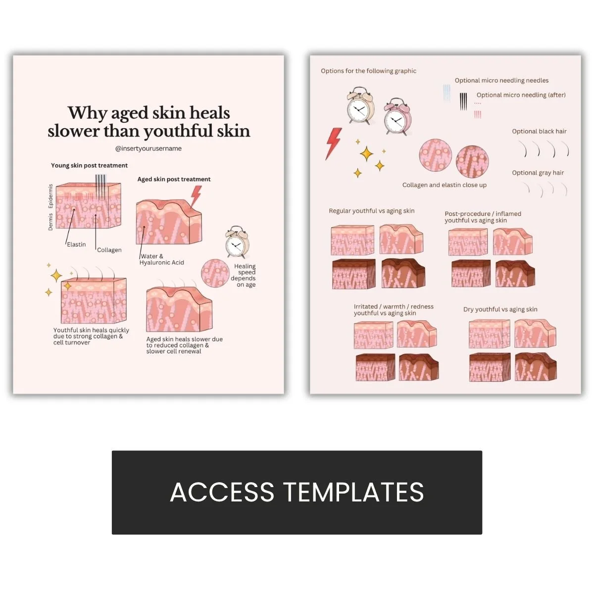 Why aged skin heals slower than youthful skin  Illustration Graphic