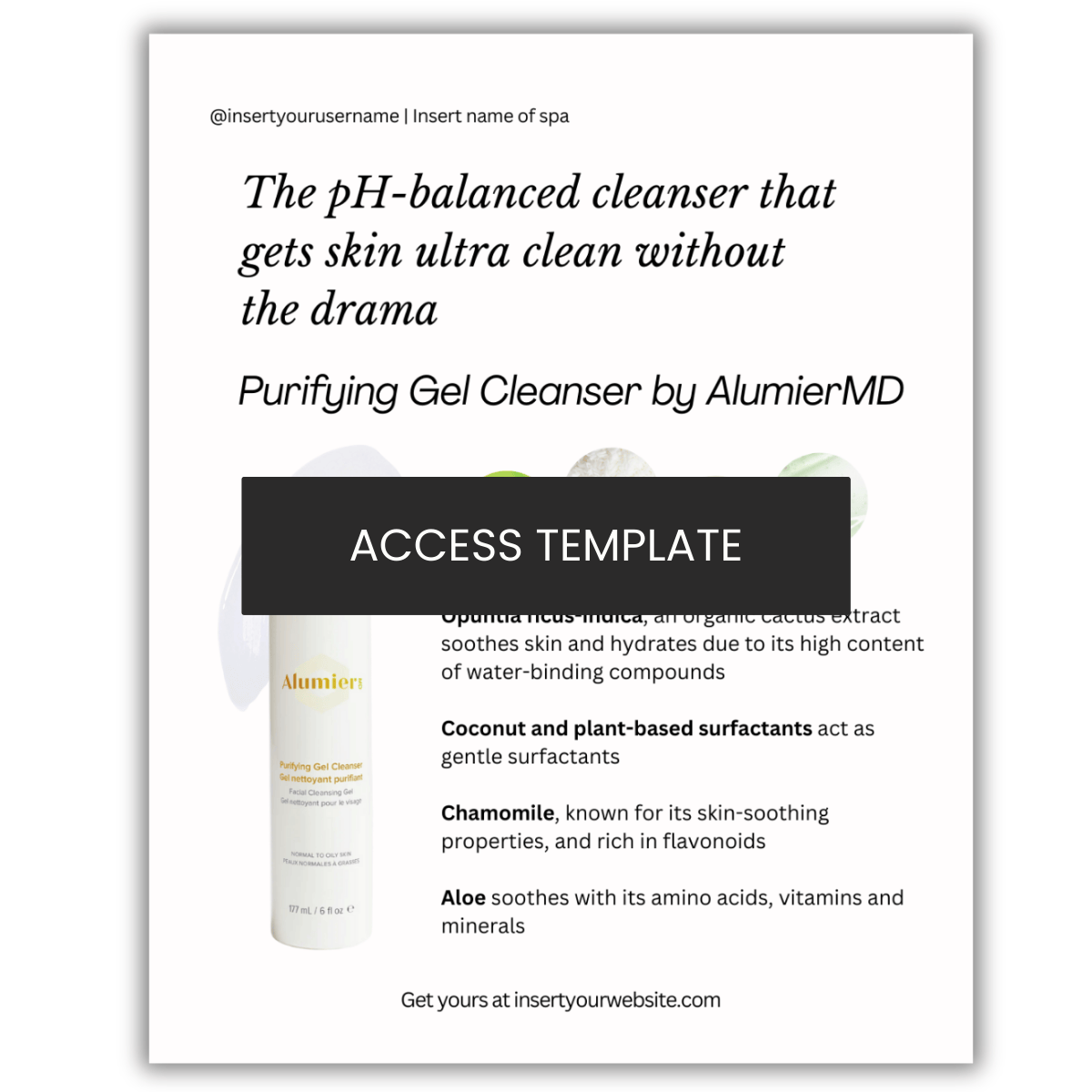 Purifying Gel Cleanser by AlumierMD