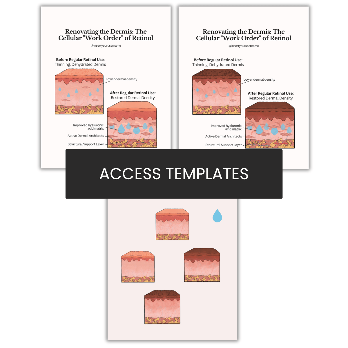 Renovating the Dermis: The Cellular "Work Order" of Retinol Illustration