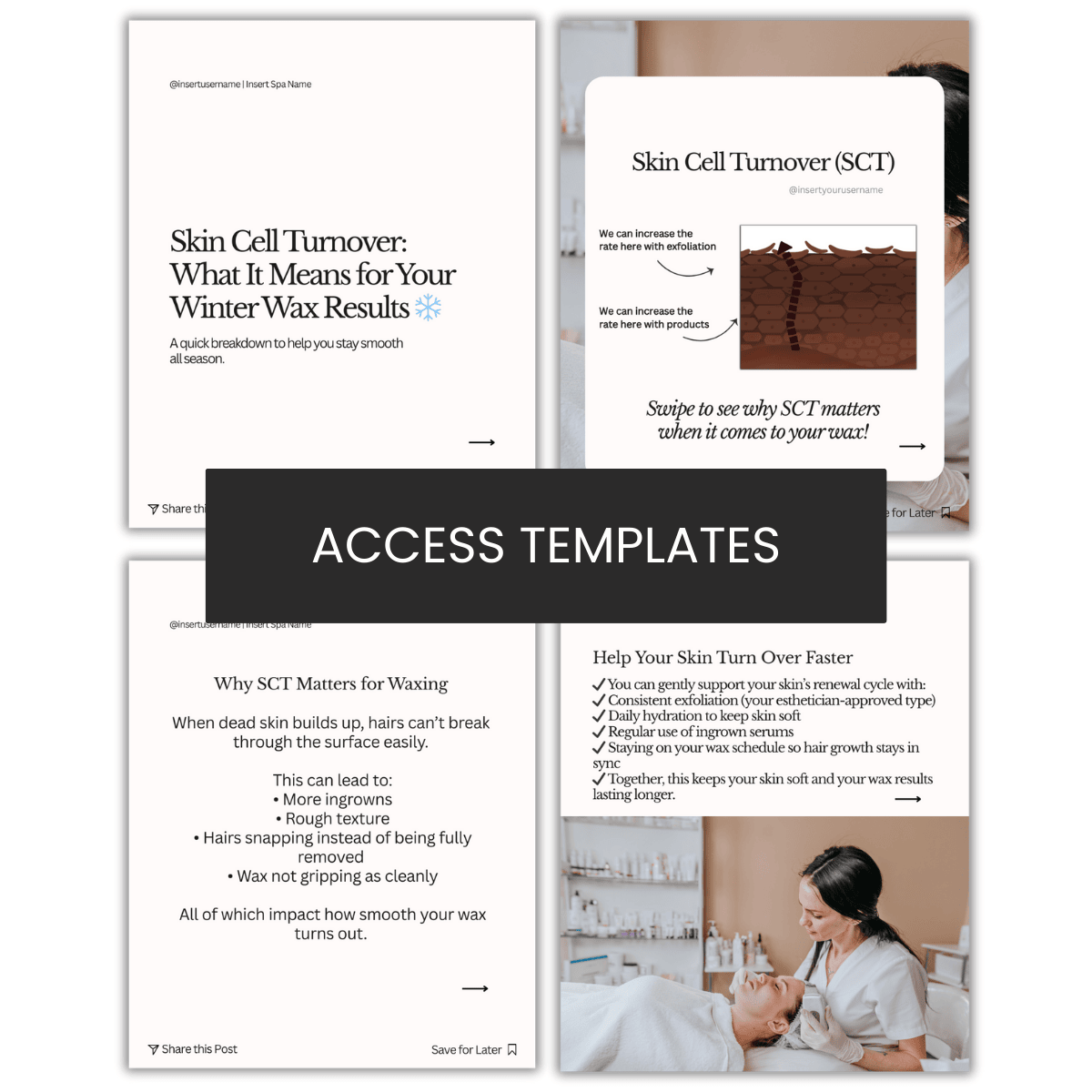 Skin Cell Turnover Carousel