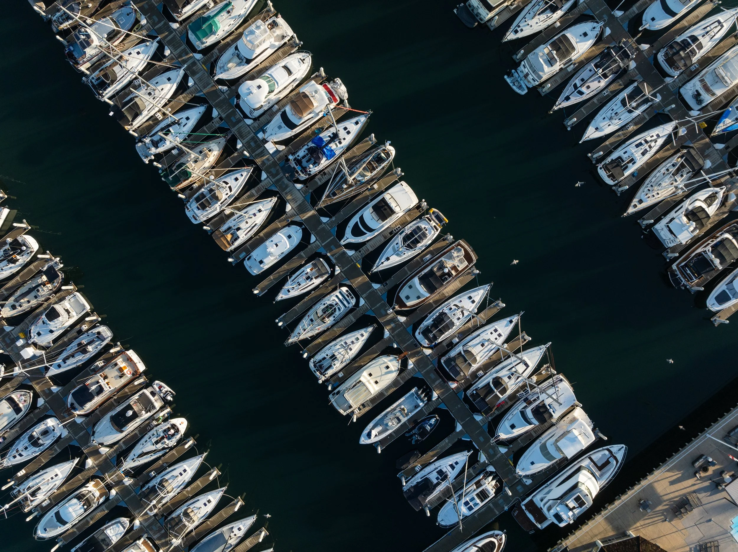 Boats on the marina dock at Safe Harbor Sunroad in San Diego, CA.