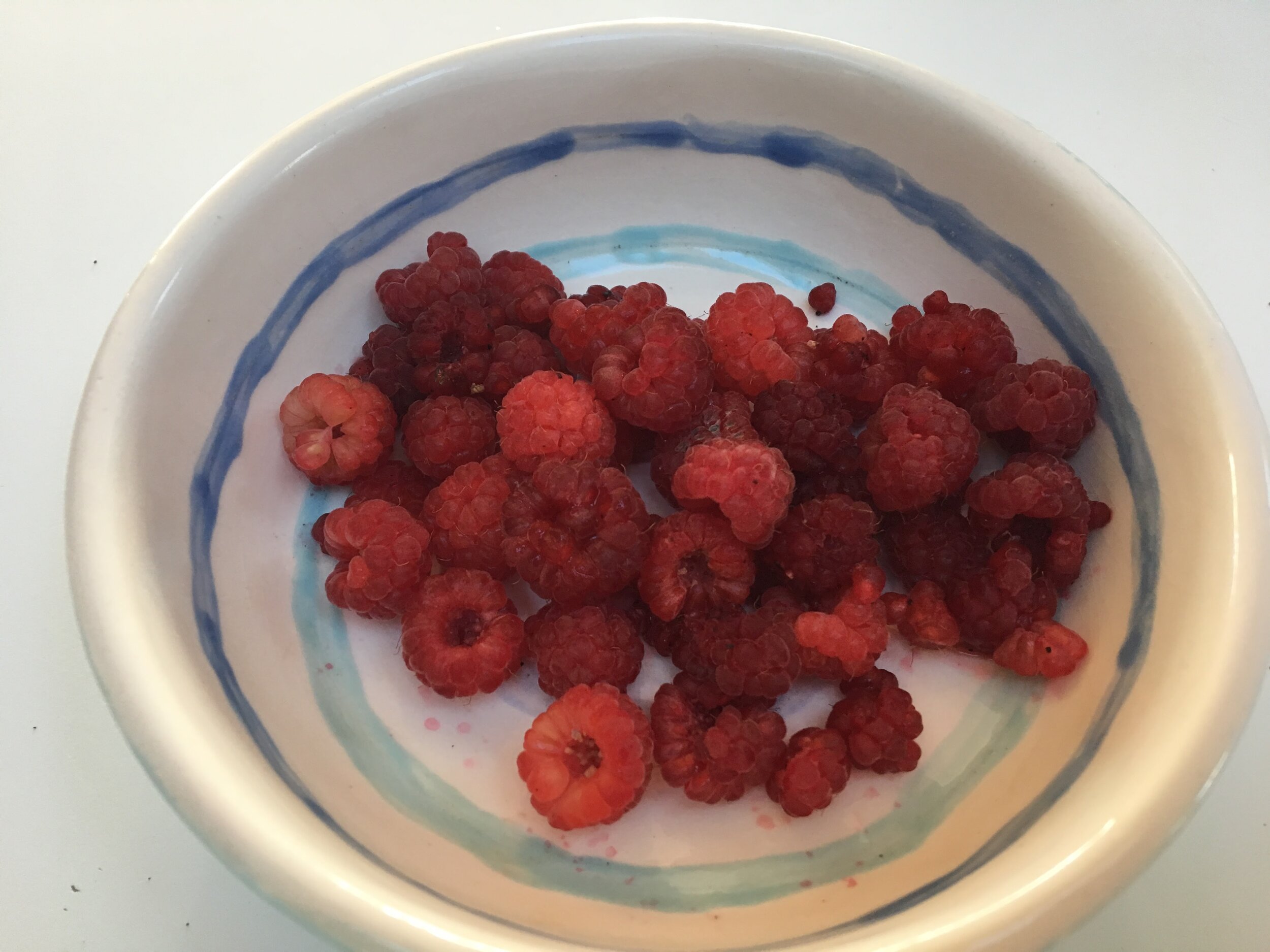  Raspberries 