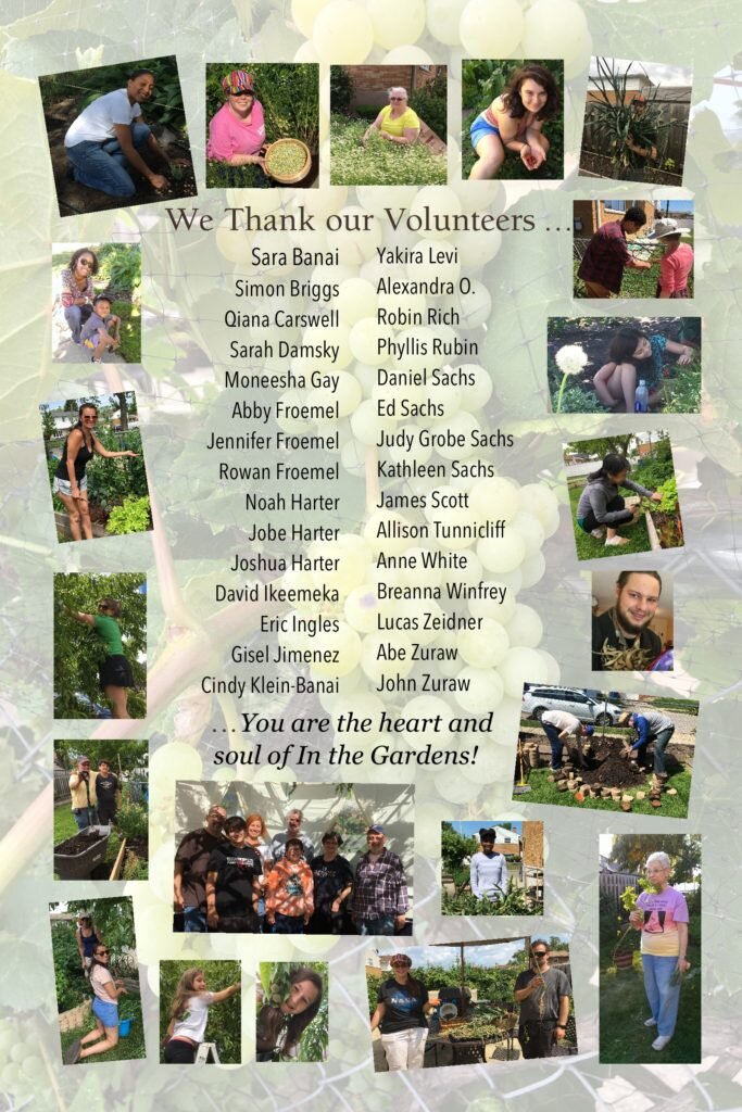  Thank you, volunteers! 