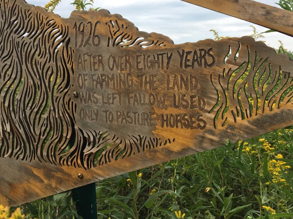 A sign forged in iron at Curtis Prairie tells visitors that this land has been fallow since 1926. 