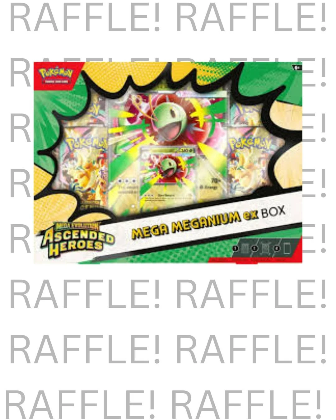 Pokemon Mega Meganium EX Box Raffle