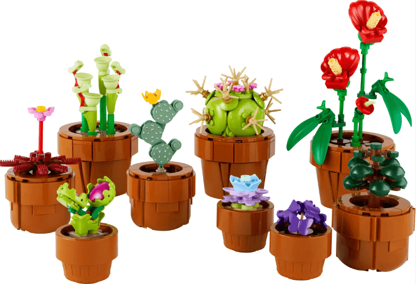 Lego The Botanical Collection - Tiny Plants Buy Online at McGillicuddy's Toyshop