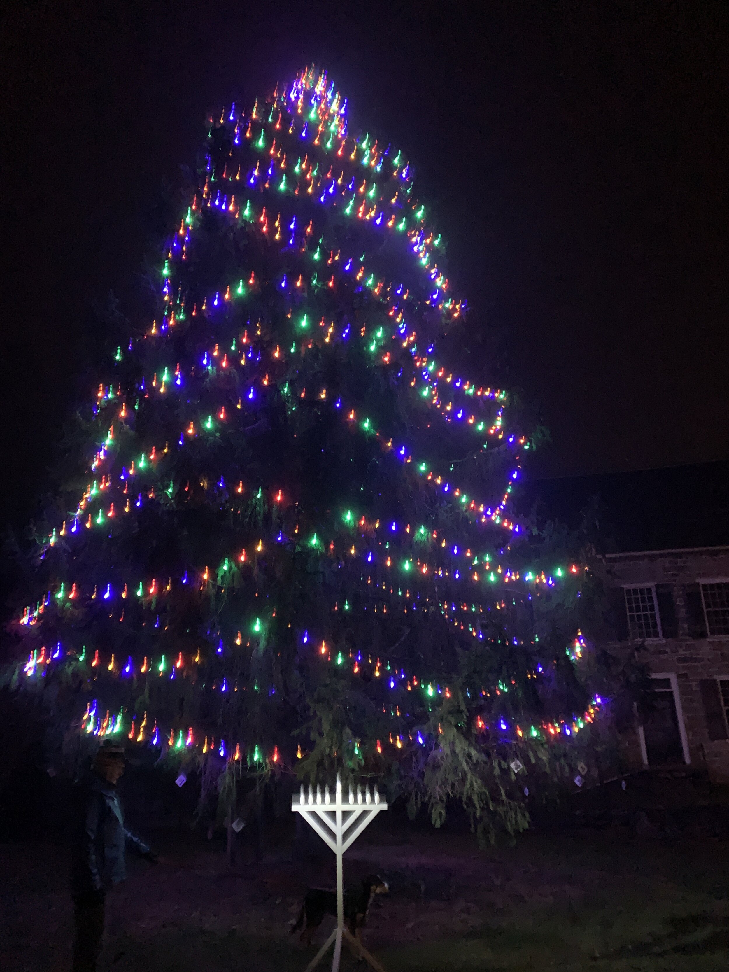 2020 Let There Be Light. Virtually, but at our most beautiful to lift our spirits and yours.