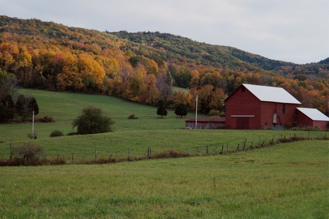 Chapel Farm – Iconic south entrance into High Falls