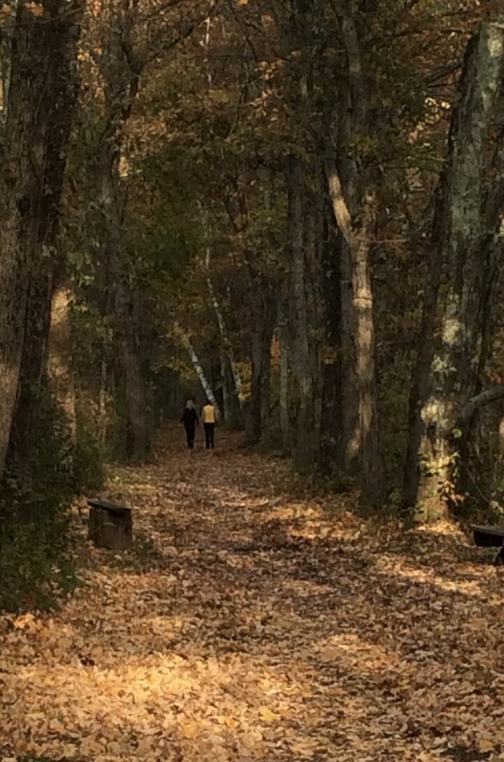Walkers on the Rail Trail - Leggett to Cottekill