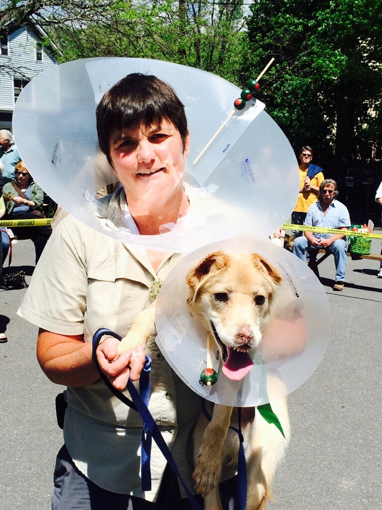 Candidates for the Pet Look-Alike category. Everyone's A Winner!