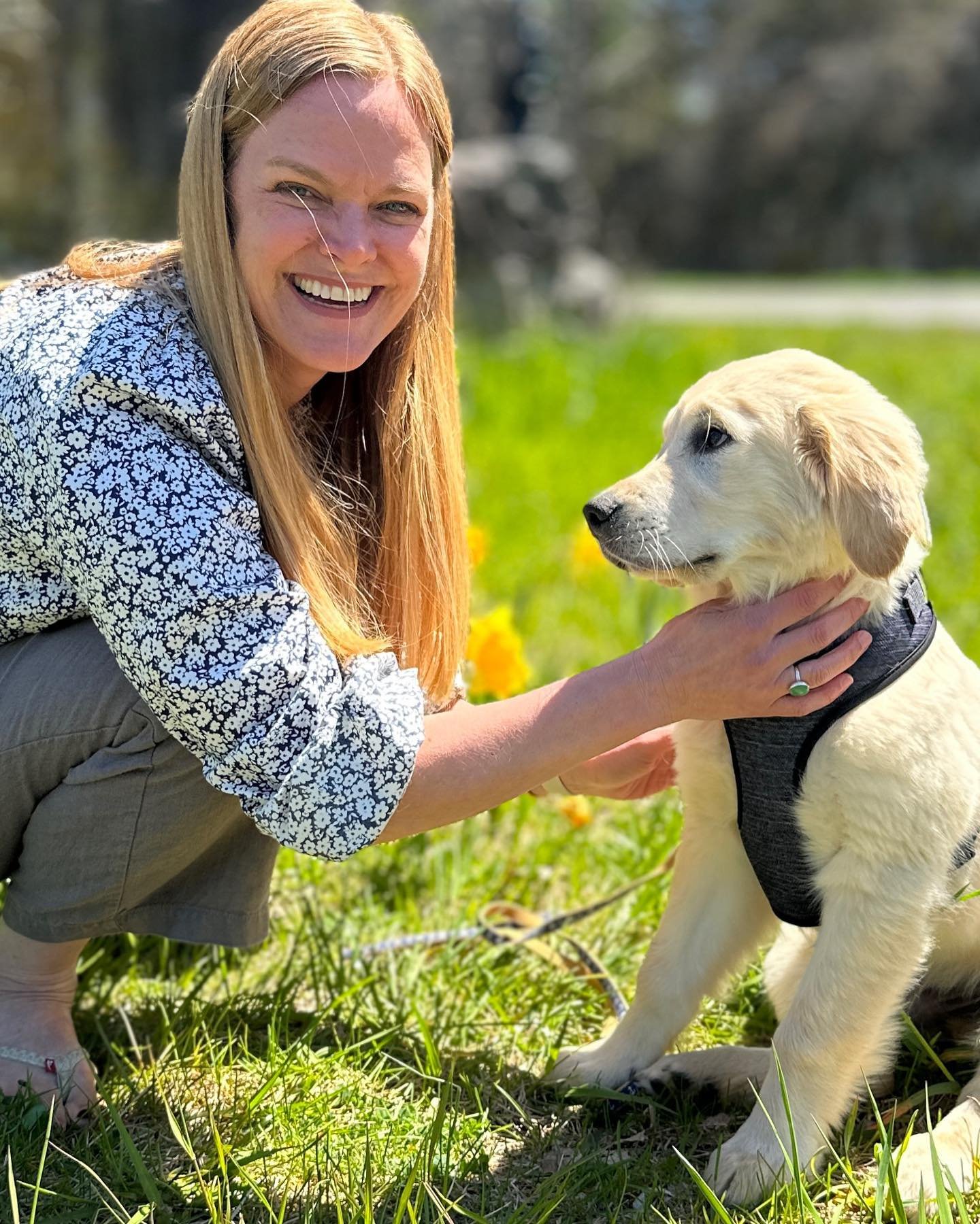 Howdy Neighbor❤️ Meet Murphy and long time High Falls native, Ingrid Frengle-Burke. Depending on the timing of his vaccinations, Murphy, who is a 15 week old Golden Retriever, may not make it to the Pet Show on May 11th😩