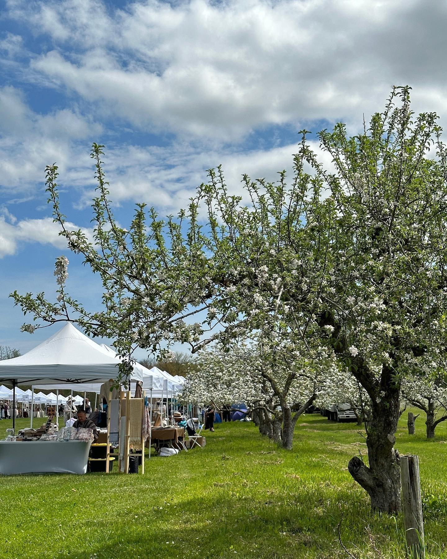 How gorgeous is the Stone Ridge Orchard? Check out Findings and tons of interesting merch to ogle and/or buy.
@stoneridgeorchard #applefarm #applesfordays #community #springhassprung