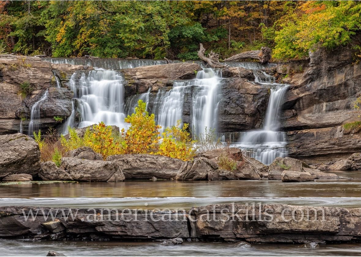 If you come to High Falls tomorrow, 7/13, for Fair Day, why not also visit some of our wonderful places to eat, shop, pet animals, see art and history? There’s Ollie’s Pizza, The Spy Social Eatery & Bar, the D&H Historical Society
