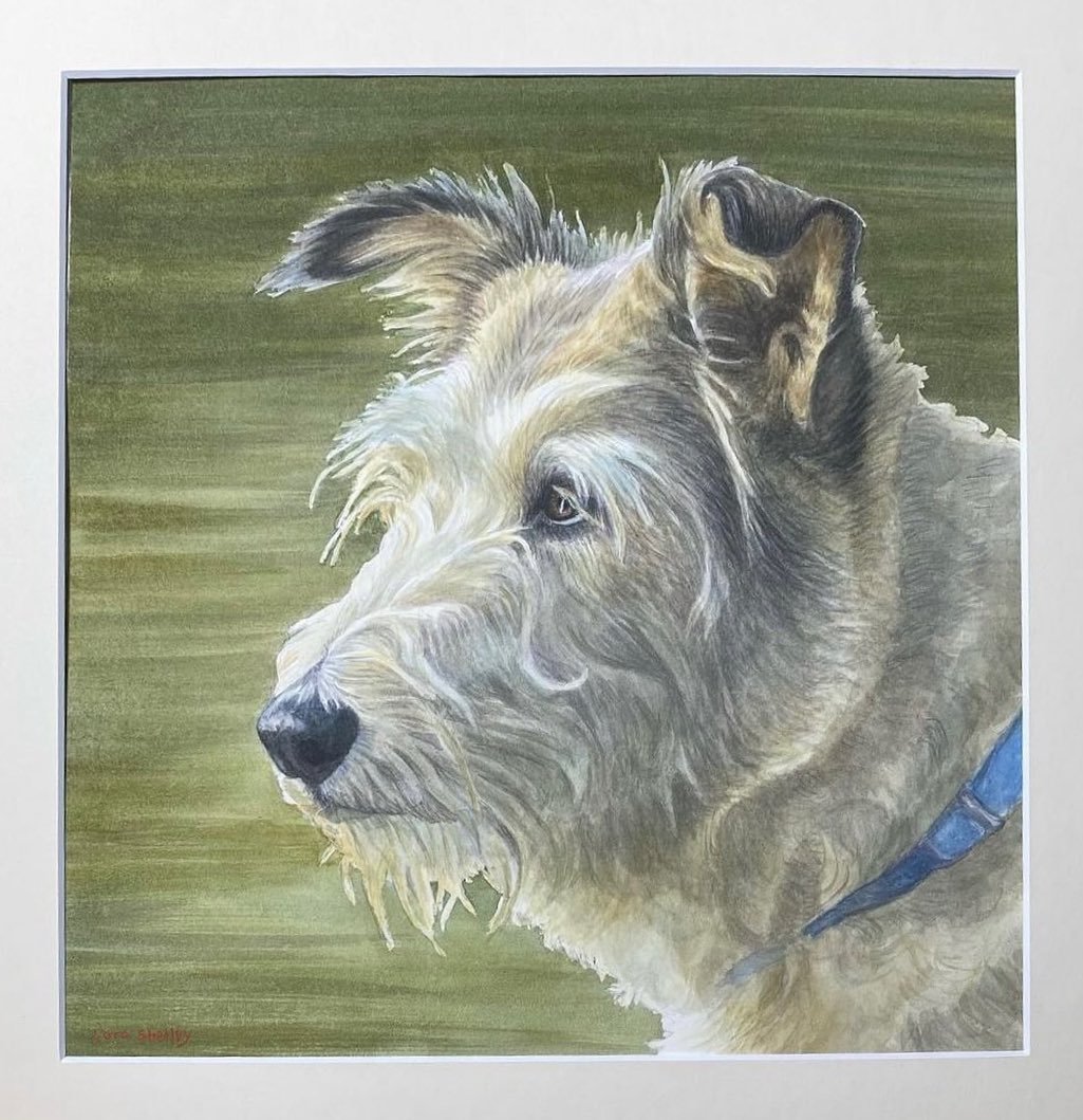 One of the donated raffle prizes from the recent High Falls Civic Association’s Pet Show was a custom portrait painted by artist Lora Shelley and here’s the result. Lora’s watercolor likeness of a dearly departed pooch named Memphis