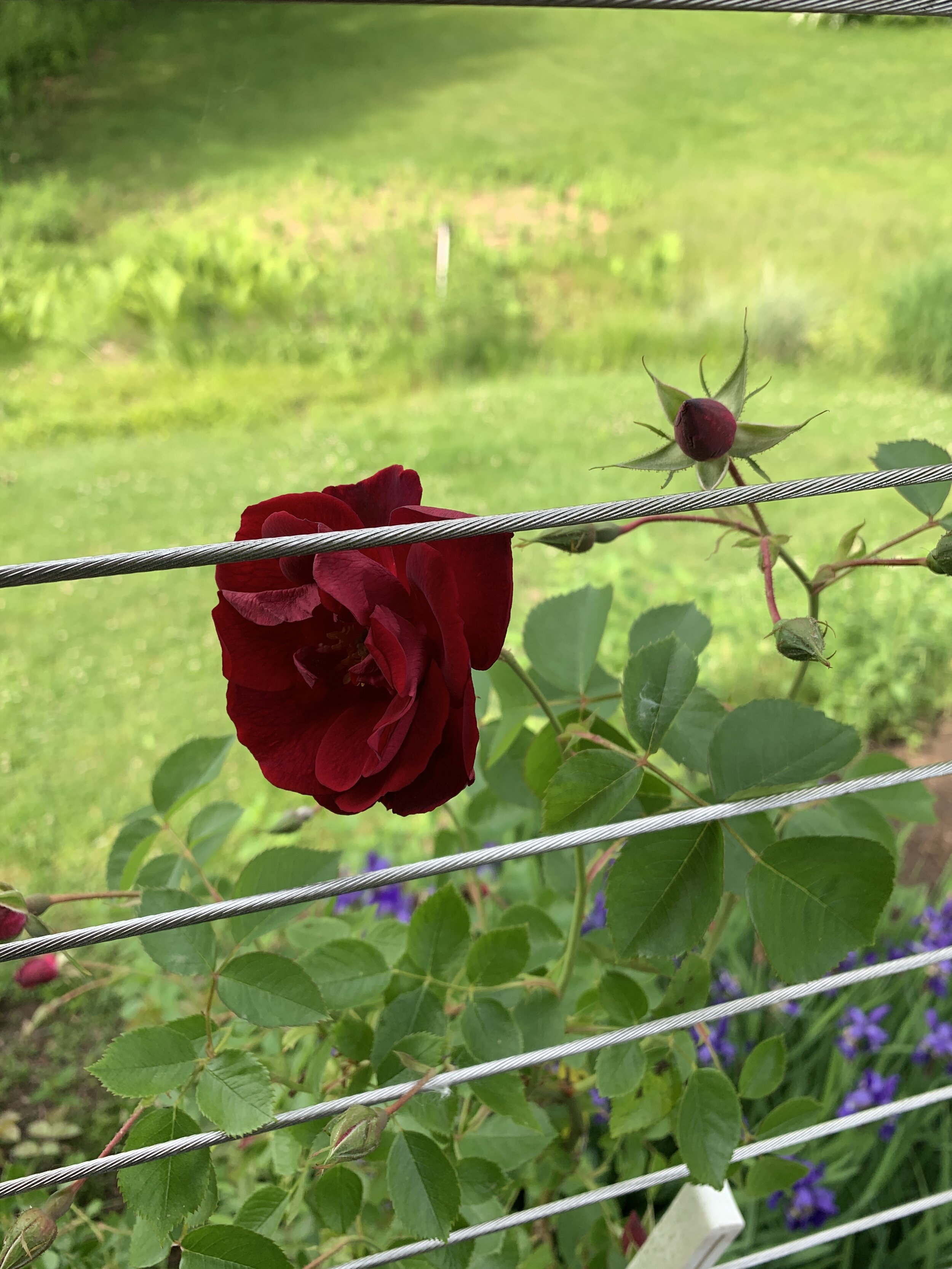 26270150-F97F-4935-A863-FF4A984738B5.jpeg