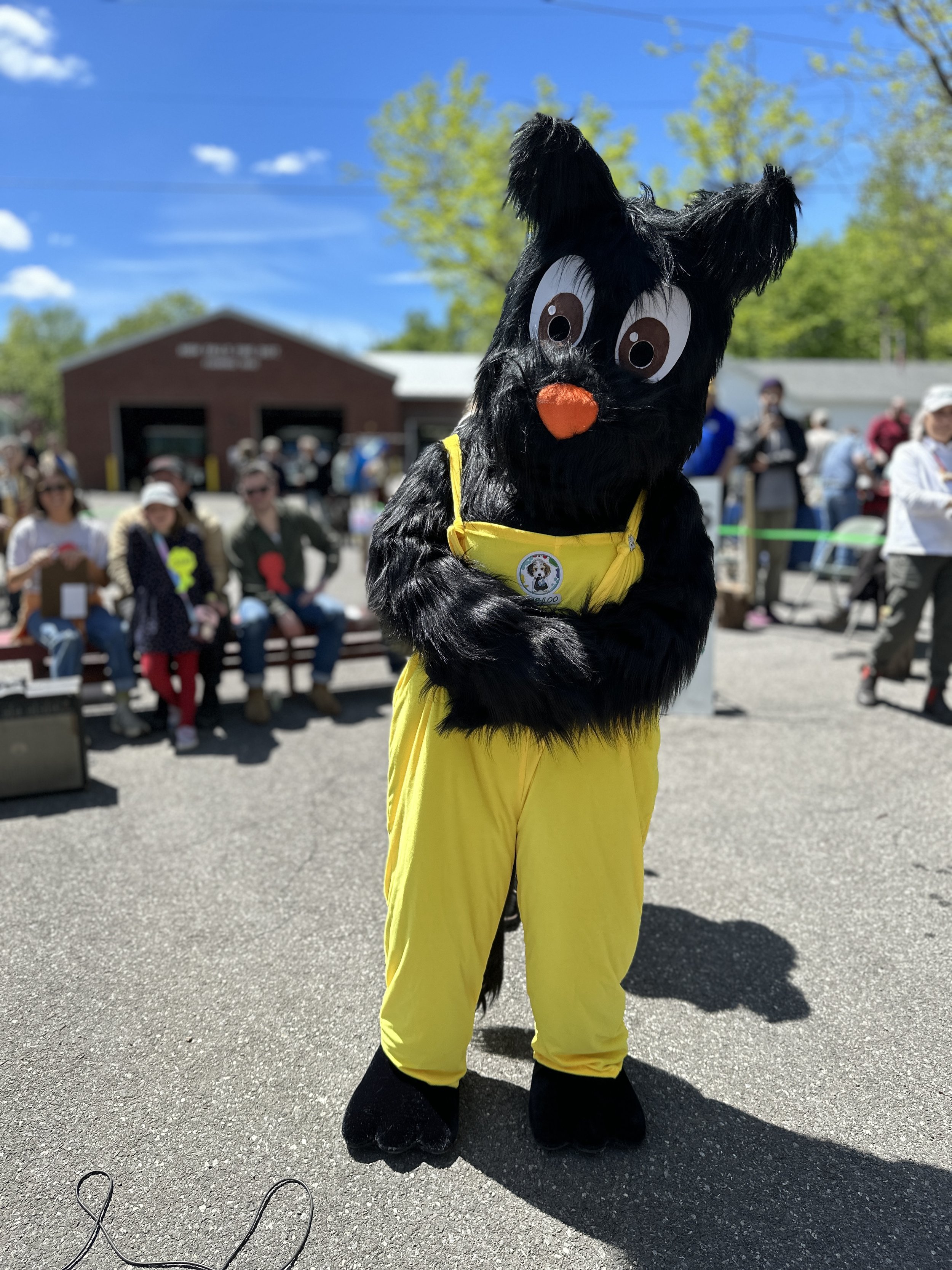 16F9BC58-50F1-4ECE-B25E-D7D70EA08ABF_1_201_a.jpeg