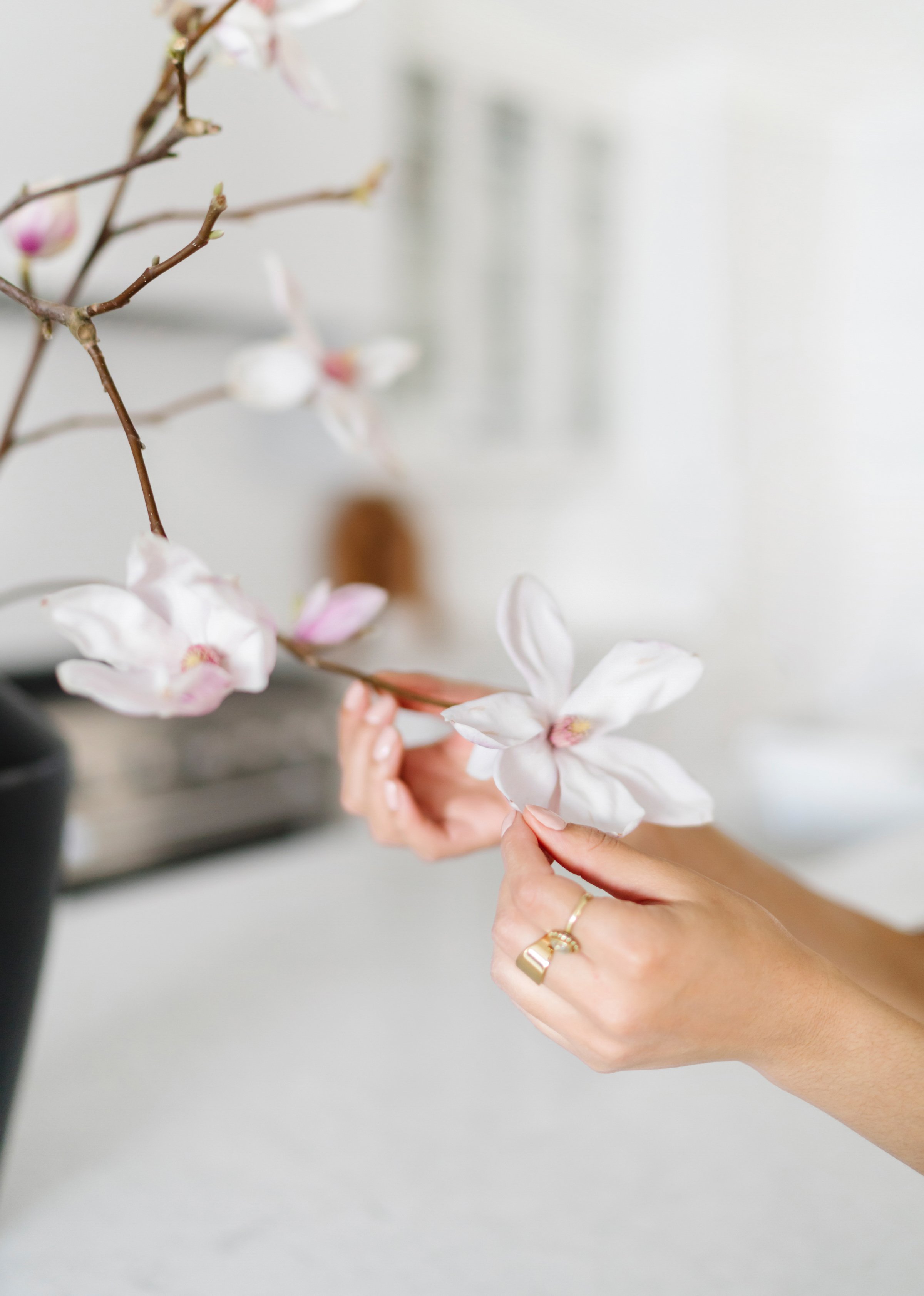 haute-stock-photography-subscription-simply-zen-collection-final-18.jpg
