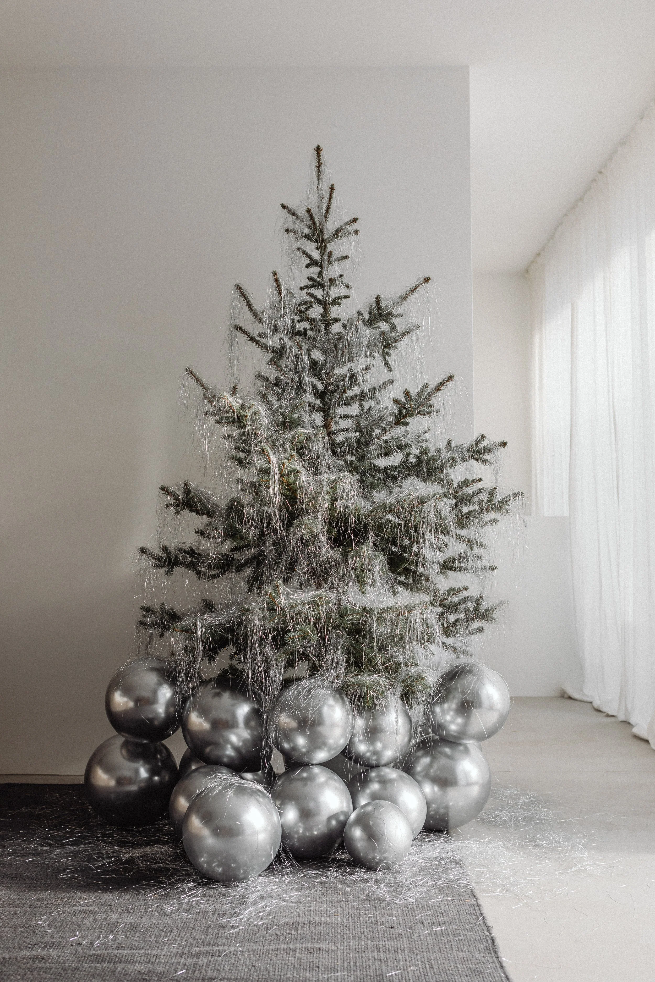 Dvn Holiday