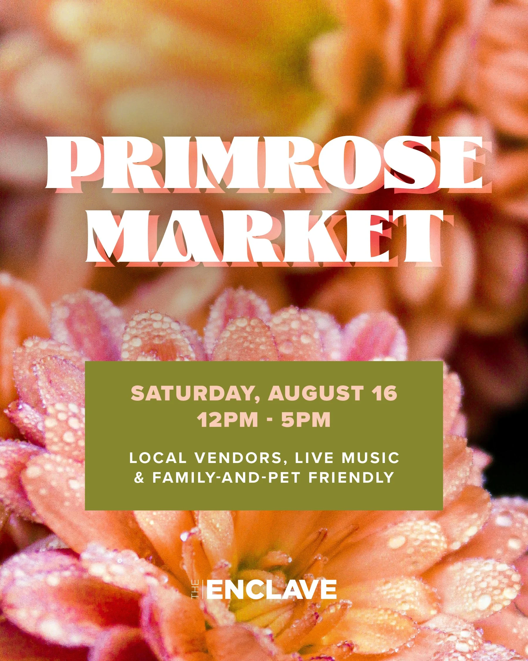 Primrose Market