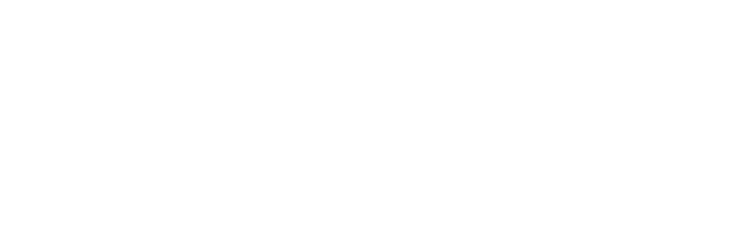 Salon Saloon