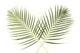 Palm Sunday - 10 April 