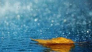 The Week Ahead at All Saints