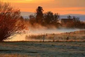 News from All Saints