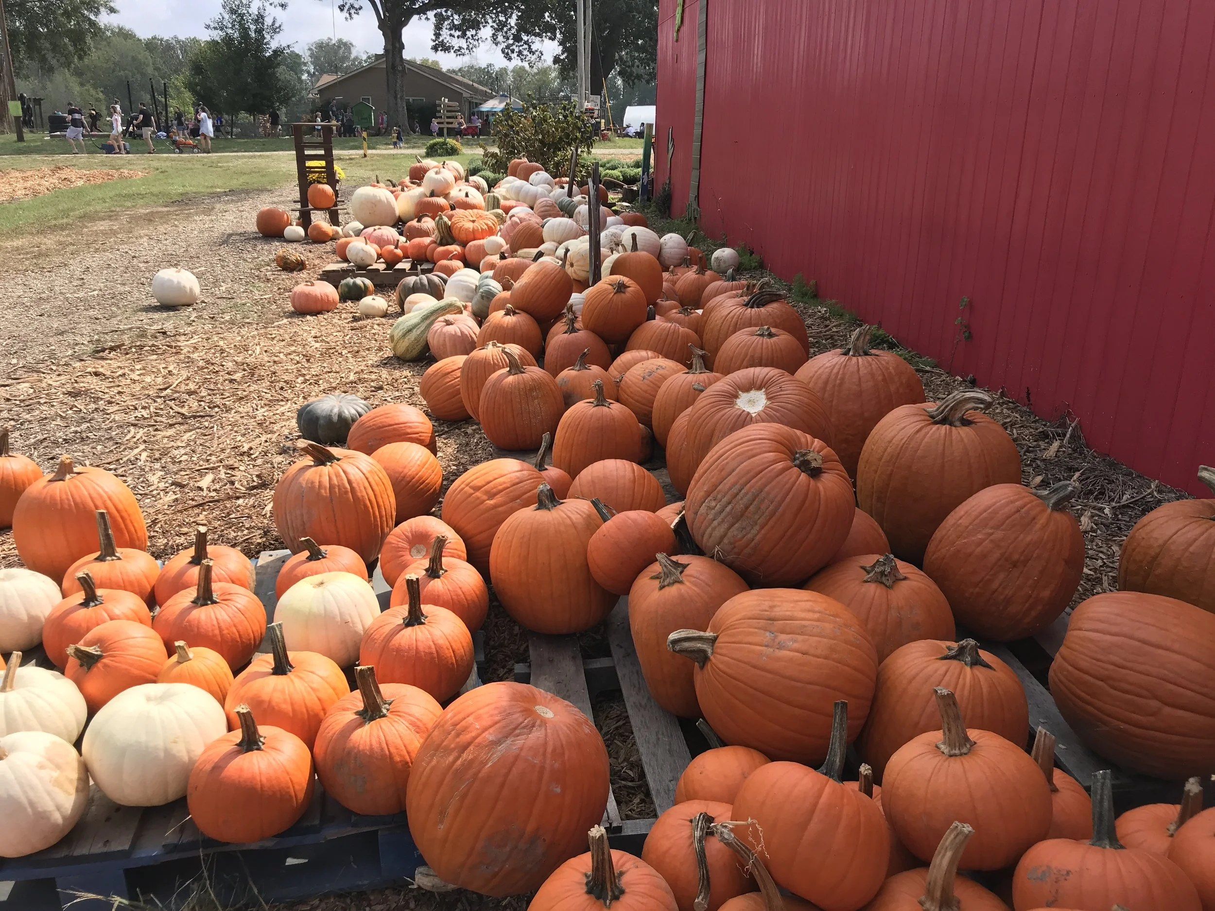 All The Fall Things: My Fall Wishlist