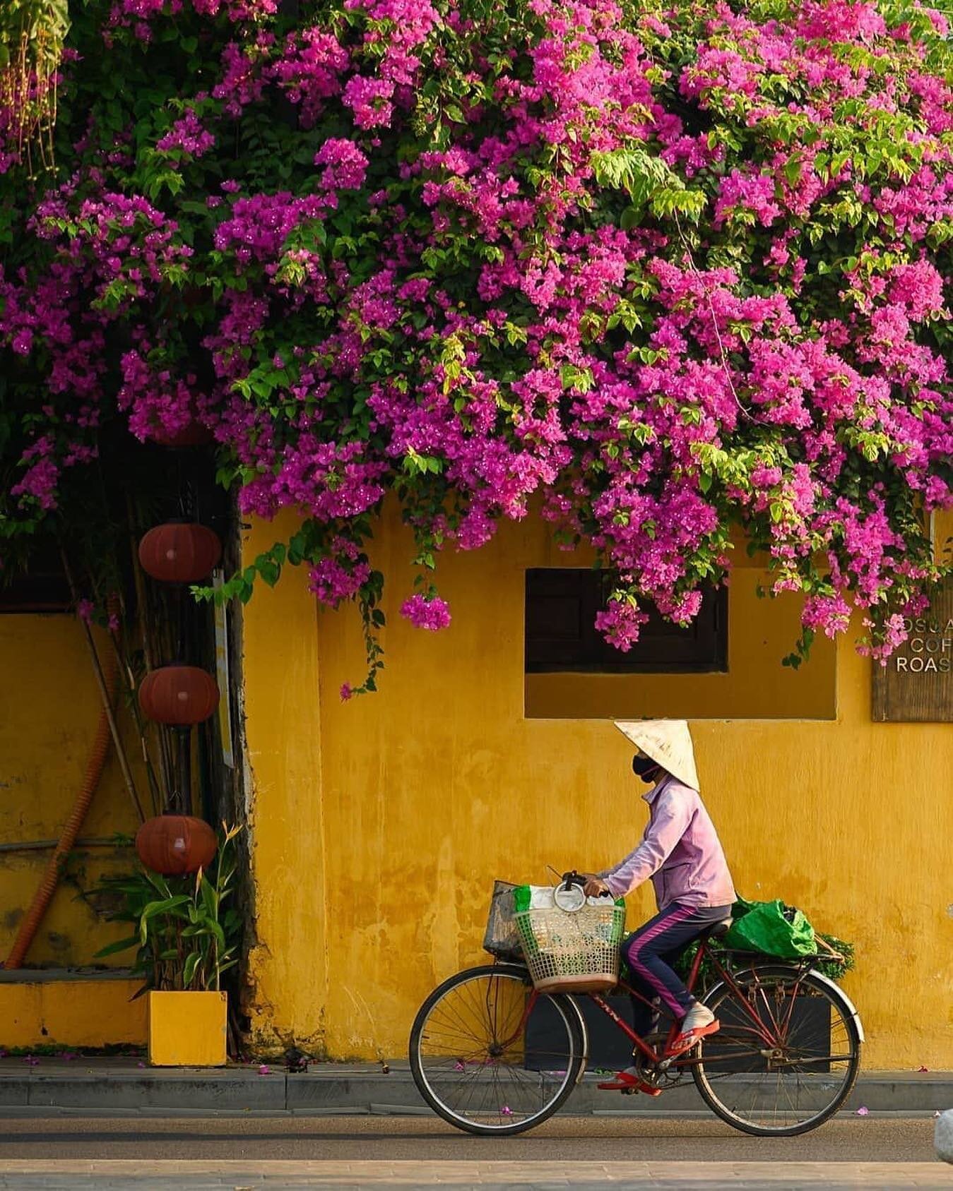 I was pre-spring cleaning and came across a physical folder and brochures (how we did it in the &quot;old days&quot;) of one of my all-time favorite vacations -- Vietnam. 🌾🇻🇳
From rice paddies to French colonial architecture, deep cultural traditi