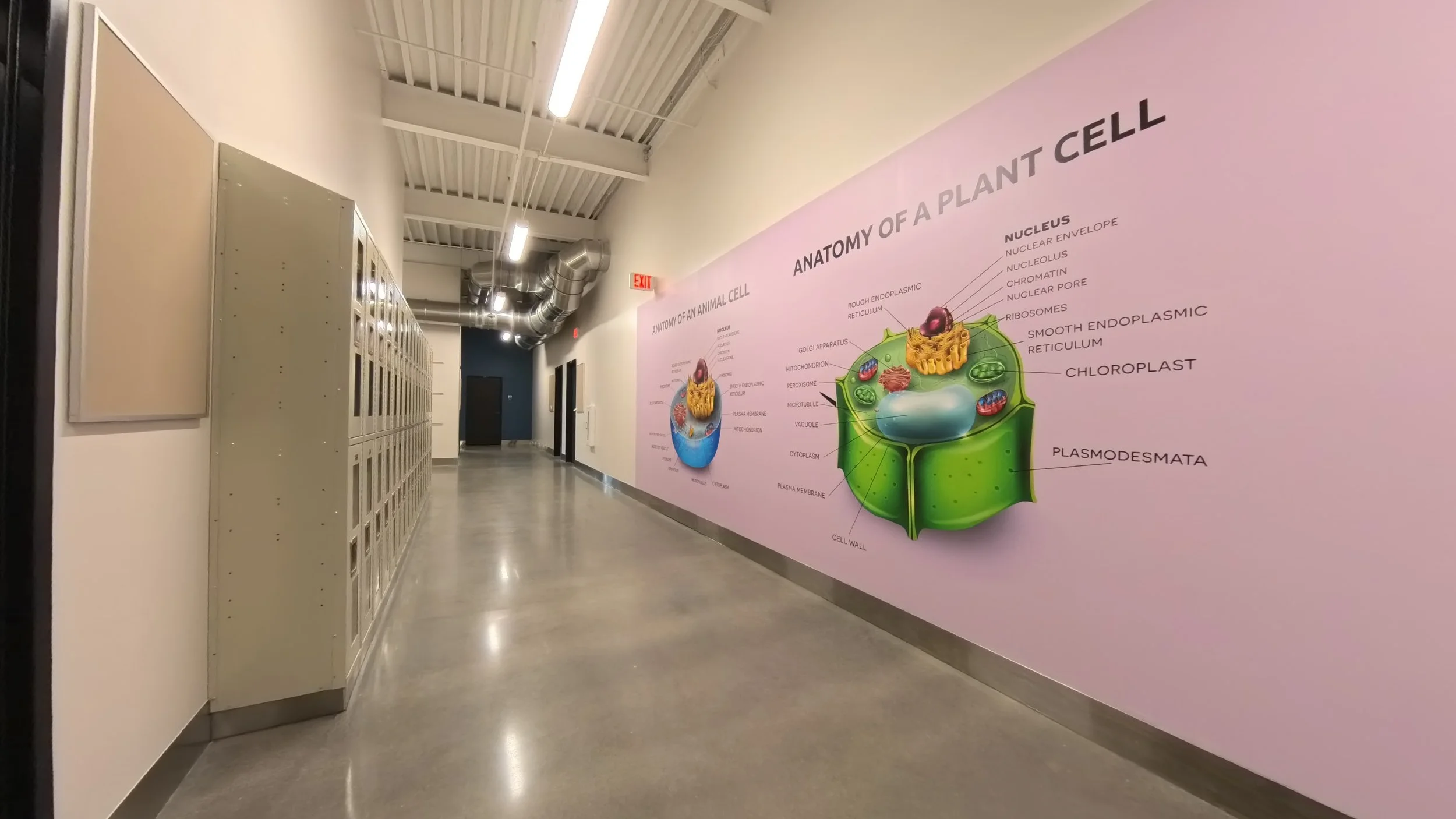 science wall 2.jpg