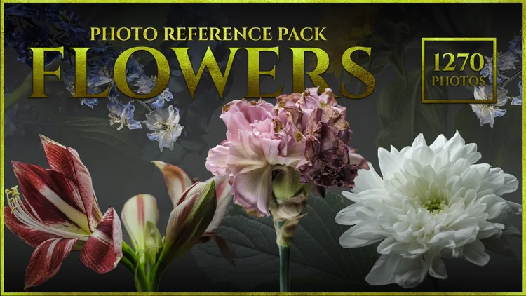 Rocky Nature-Photo Reference Pack For Artists 661 JPEGs — satine zillah