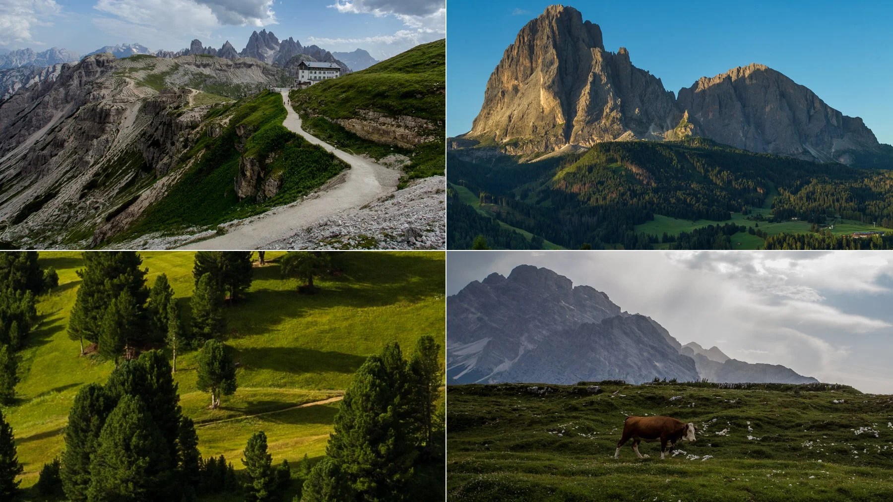dolomitesbanner4.jpg