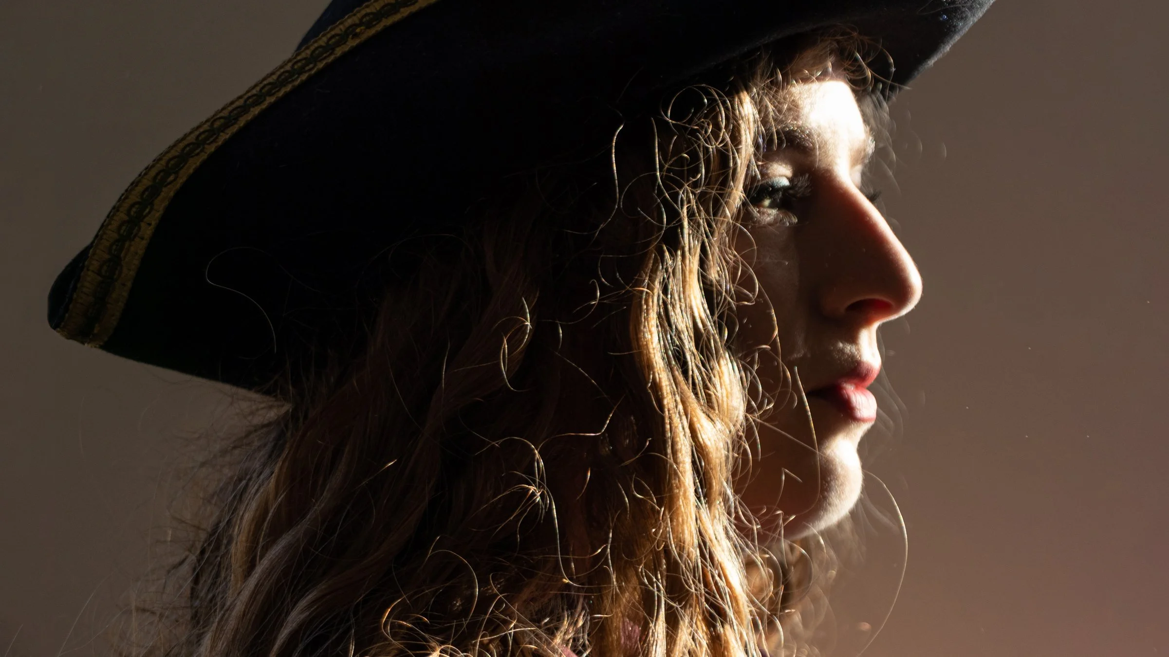 pirateladybanner5.jpg