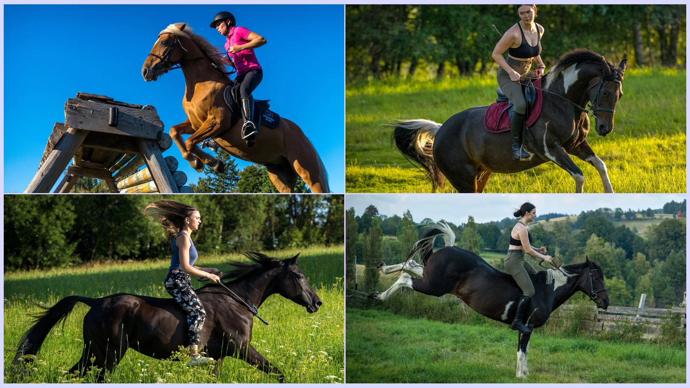 horsesbanner7.jpg