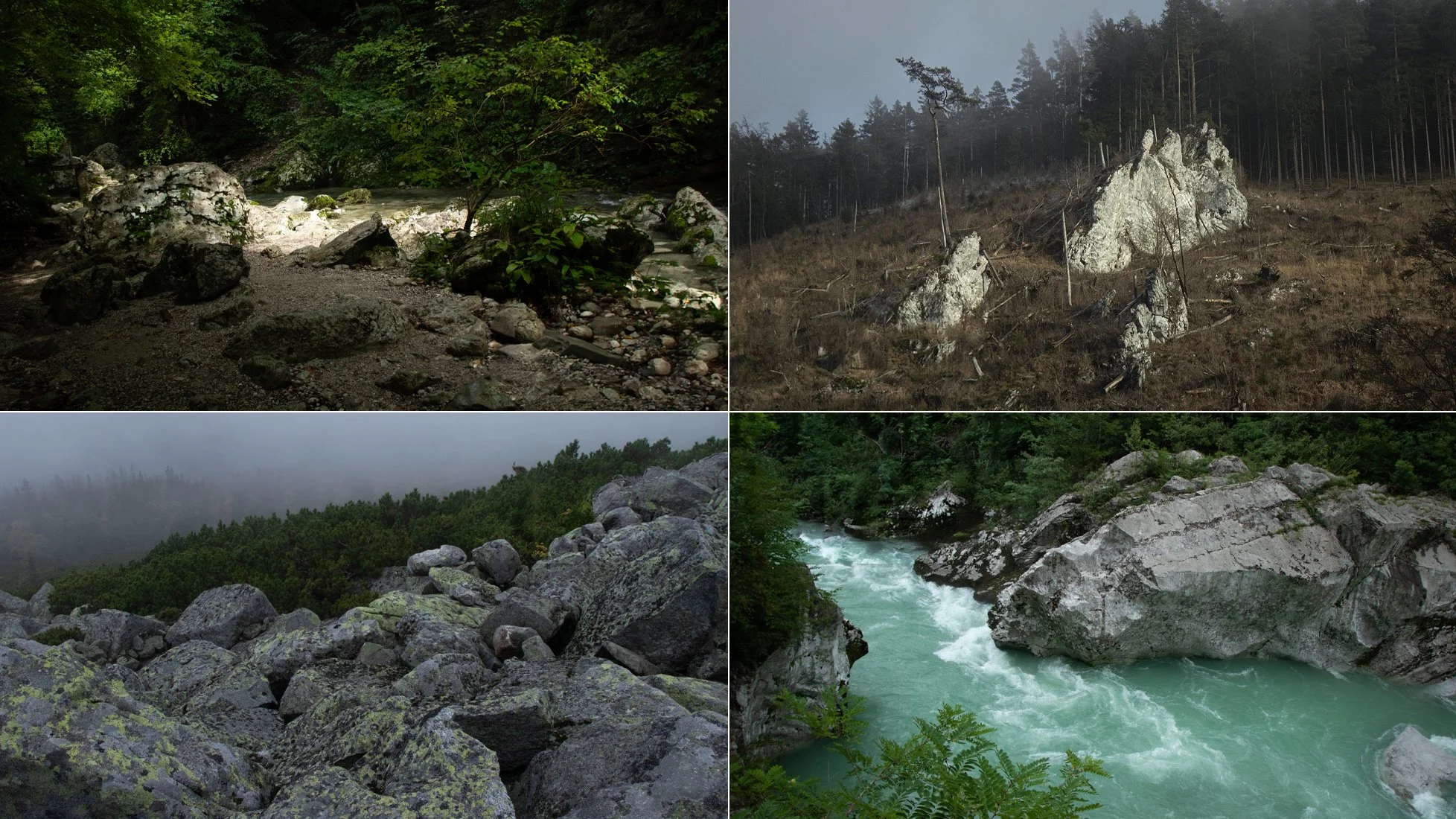 Rocky Nature in all seasons- Photo Reference Pack- 325 JPEGs